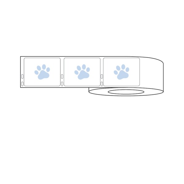 Nevs Dymo Prescription Label w/Paw Print 2-3/4" x 2-1/8" White w/Blue LA-DYM-1016 - main